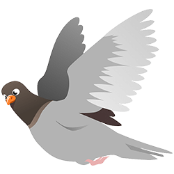 pigeon algorithme local Google