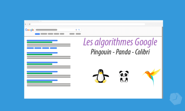 Les algorithmes Pingouin, Panda et Colibri