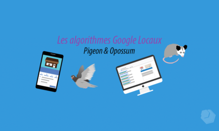 Les algorithmes locaux Google : Pigeon et Opossum