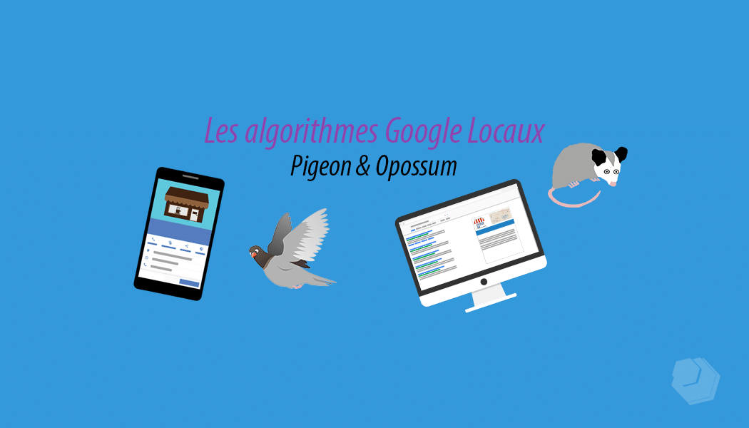 Les algorithmes locaux Google : Pigeon et Opossum